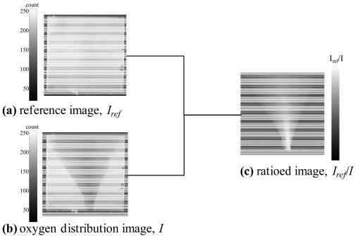 Figure 12.