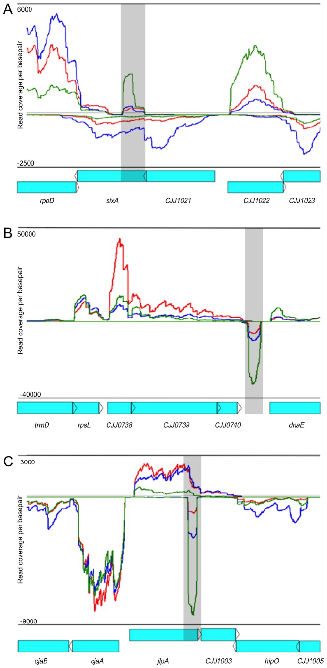 Figure 6