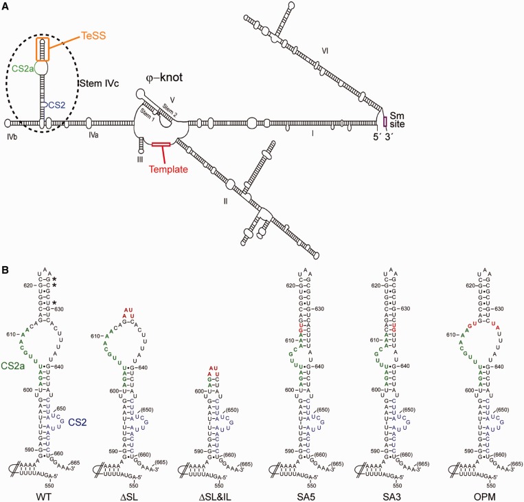 Figure 1.