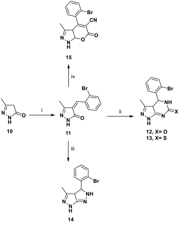 Scheme 3