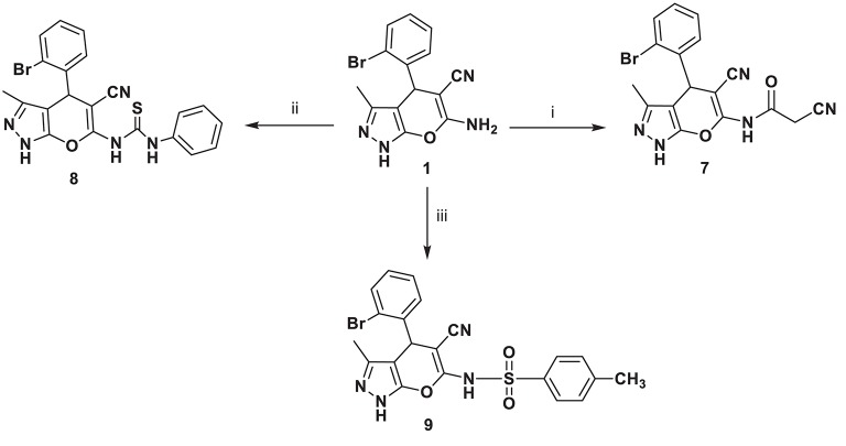 Scheme 2