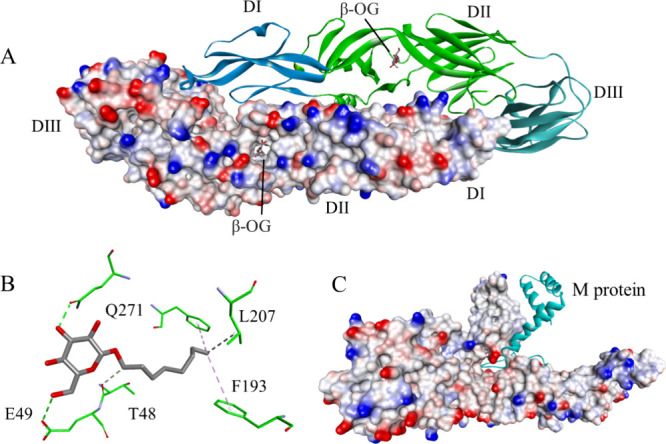 Figure 21