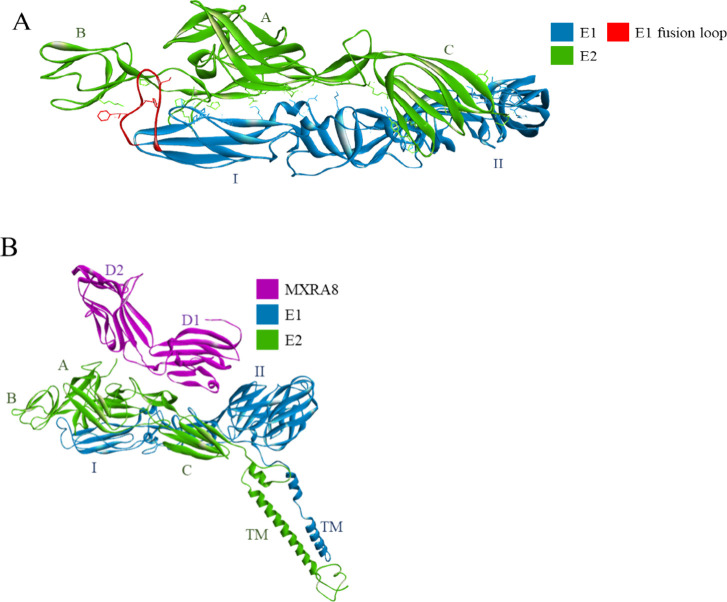 Figure 24