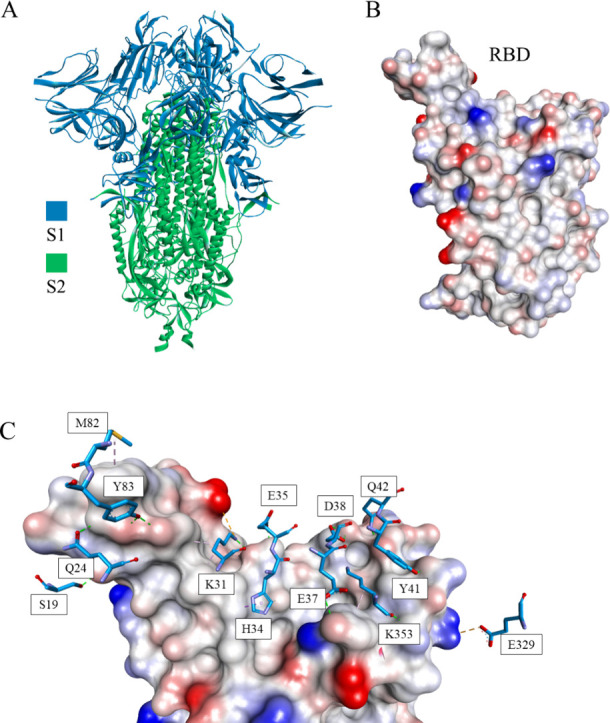 Figure 10