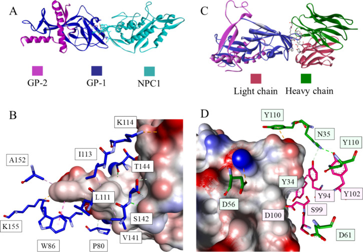 Figure 19