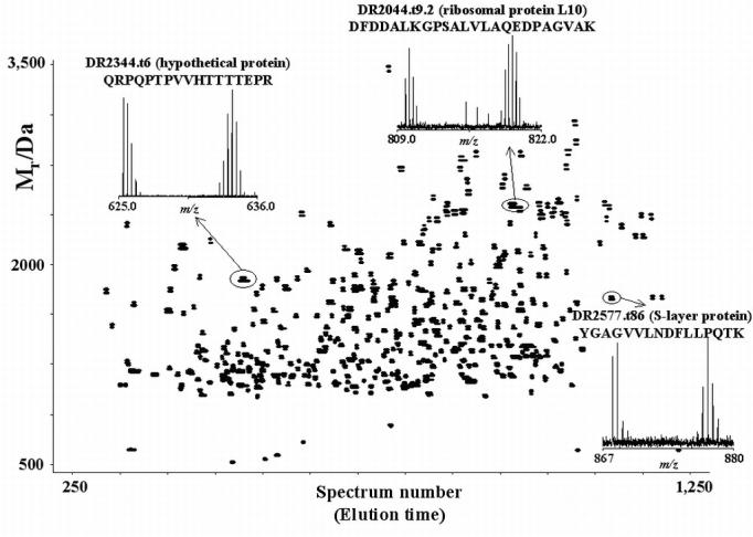 Figure 23