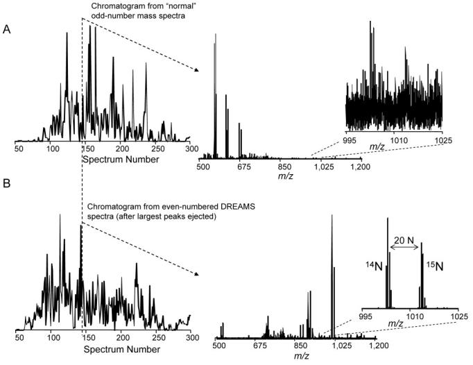 Figure 20