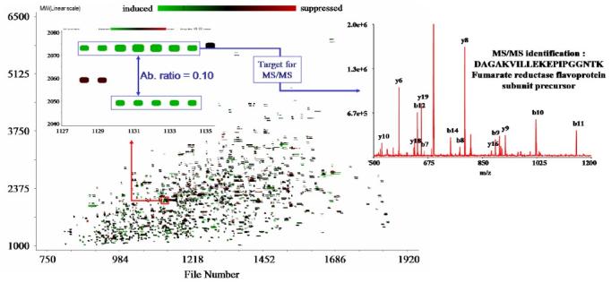 Figure 21