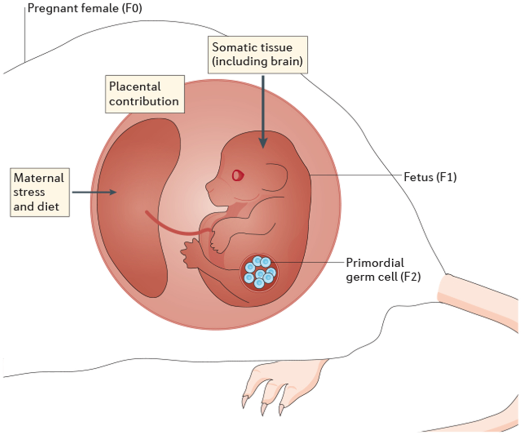 Figure 3 |