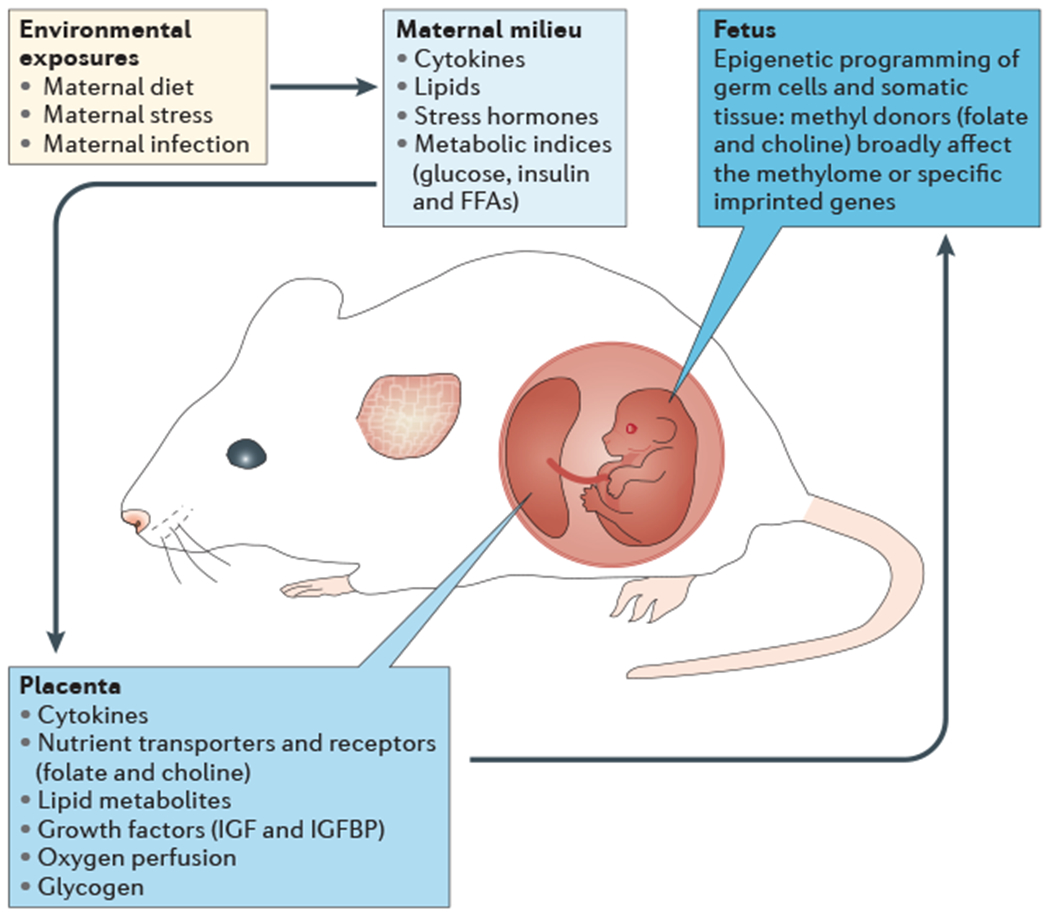 Figure 1 |