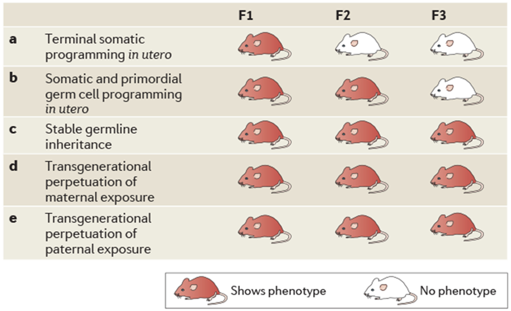 Figure 2 |