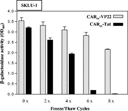 FIG. 7.