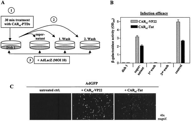 FIG. 6.