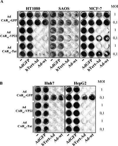 FIG. 9.