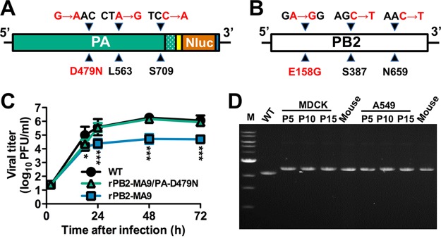 FIG 4