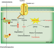 graphic file with name MCO2-4-e463-g005.jpg