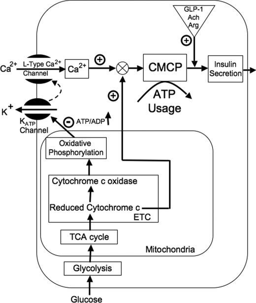 FIGURE 1.