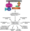 Figure 3.