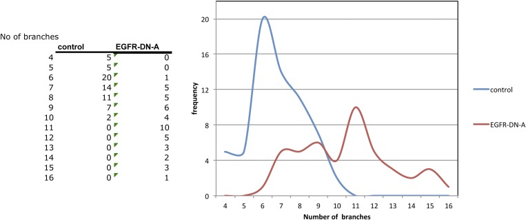 Figure 2—figure supplement 3.