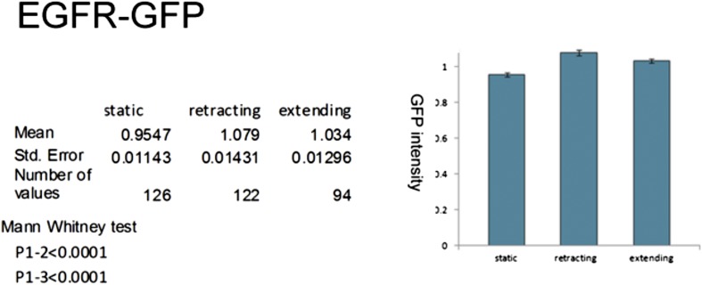 Figure 5—figure supplement 1.