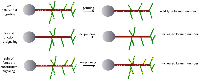 Figure 9.