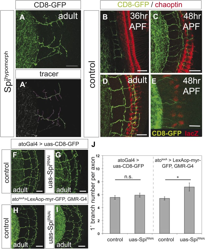 Figure 2—figure supplement 2.