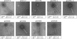 FIG 1