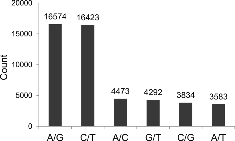 Fig. 3