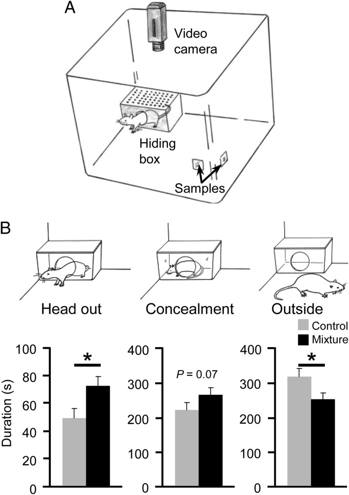 Fig. 3.