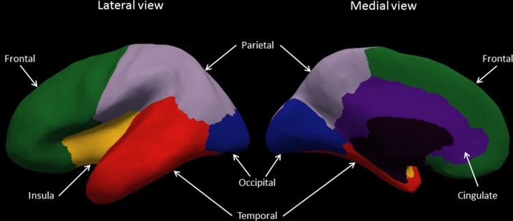 Fig. 2