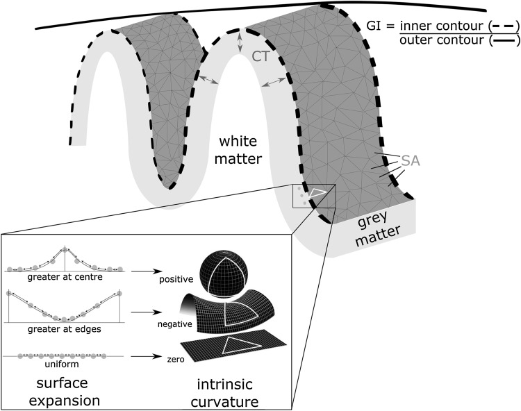 Fig. 1