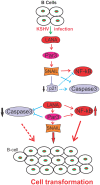 Fig 12