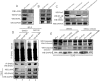Fig 10