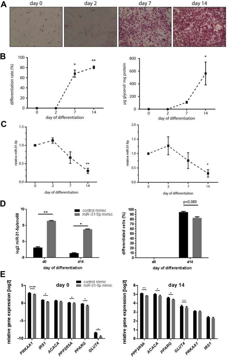 Figure 6