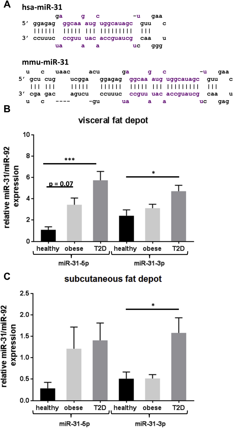 Figure 5