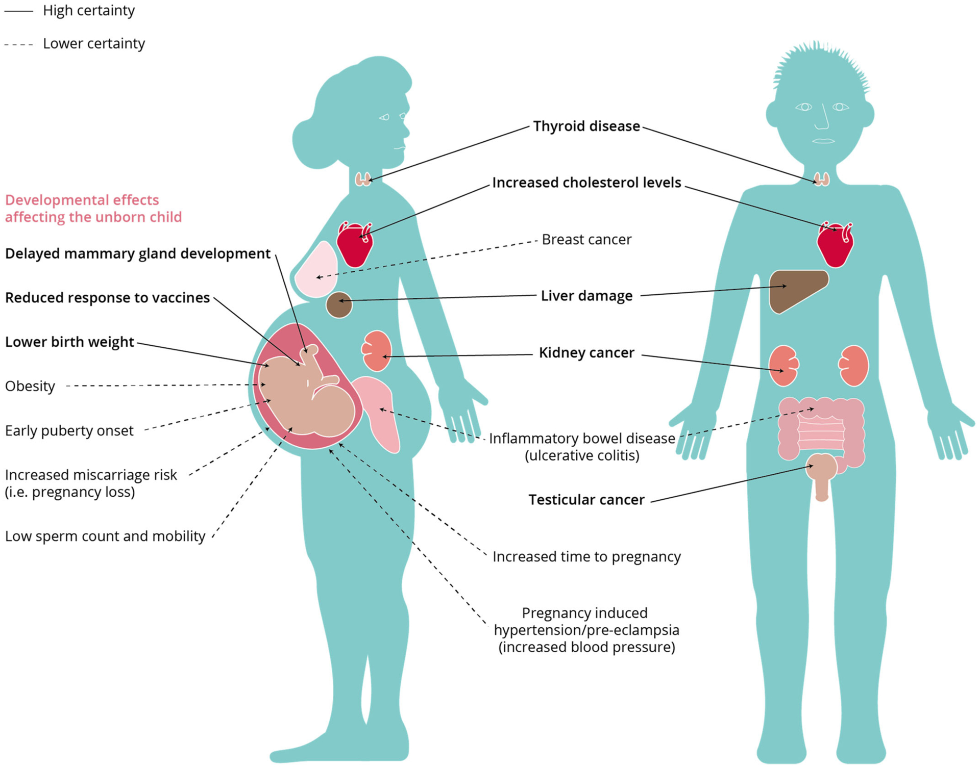 FIGURE 1: