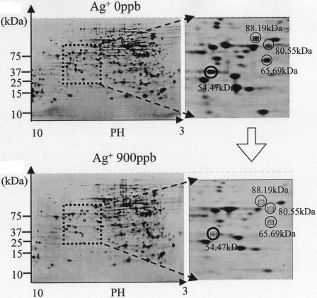 FIG. 4.