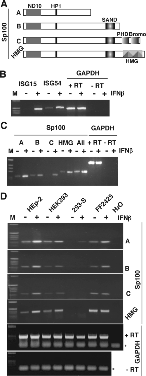 FIG. 1.