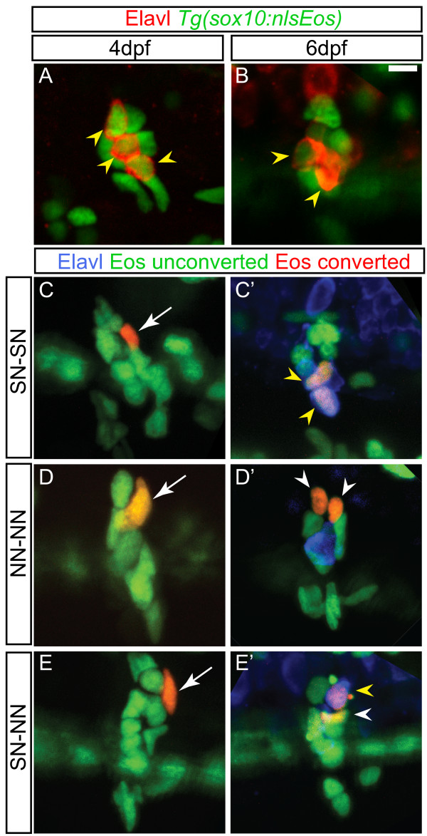 Figure 4