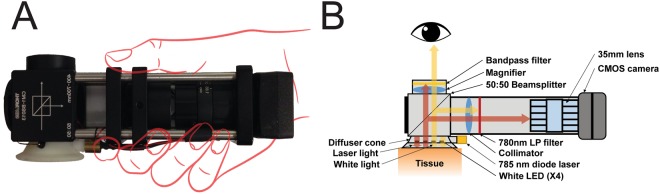 Figure 5