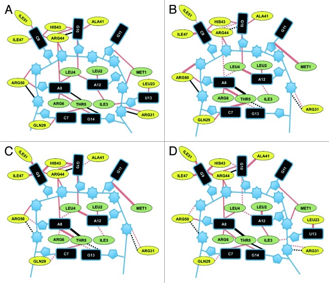 graphic file with name rna-10-1030-g4.jpg