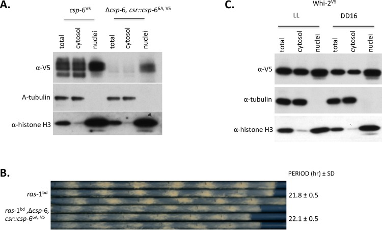 Fig 7