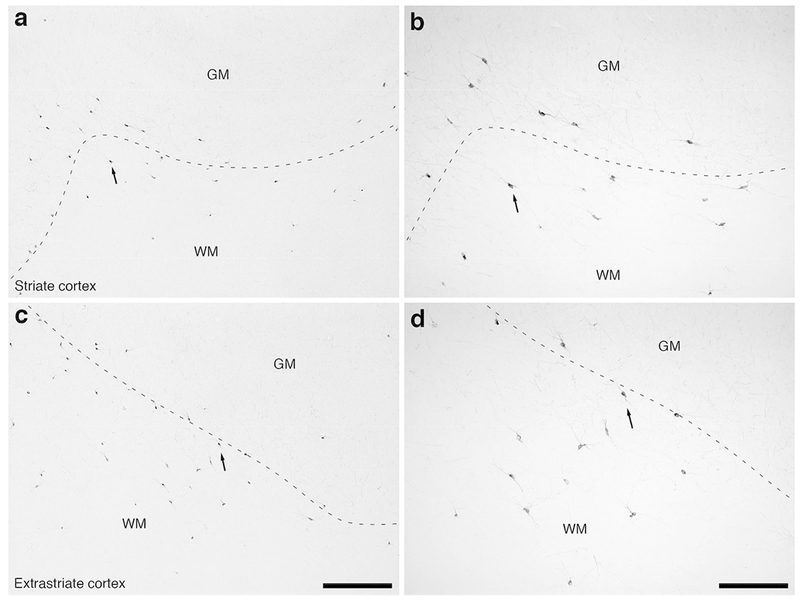 Figure 10: