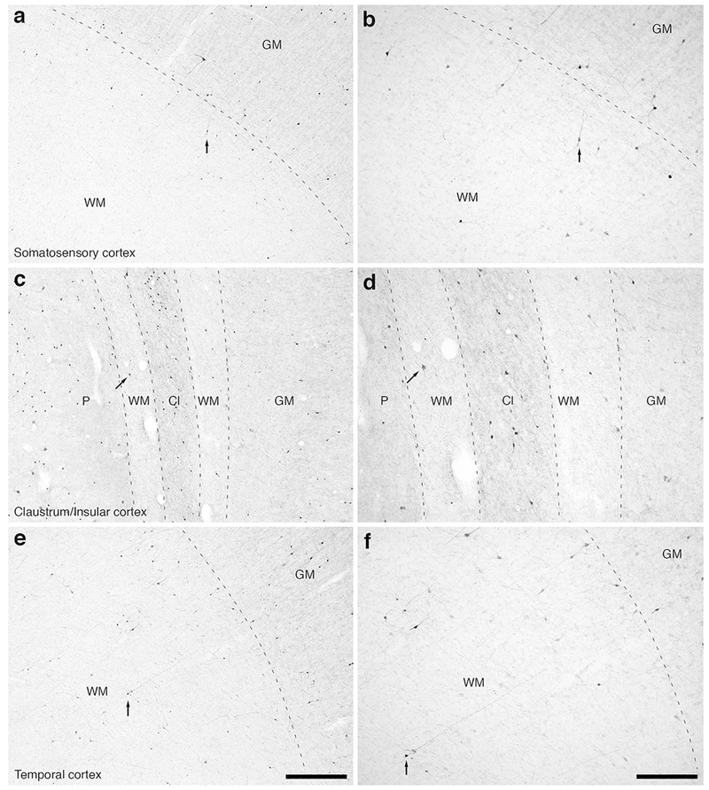 Figure 13: