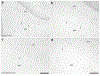 Figure 14: