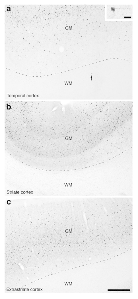 Figure 16: