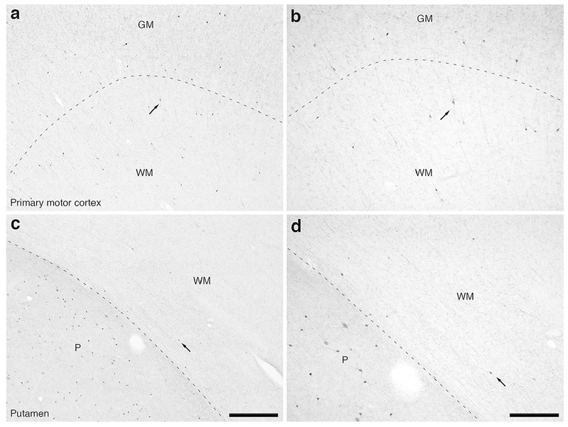 Figure 12: