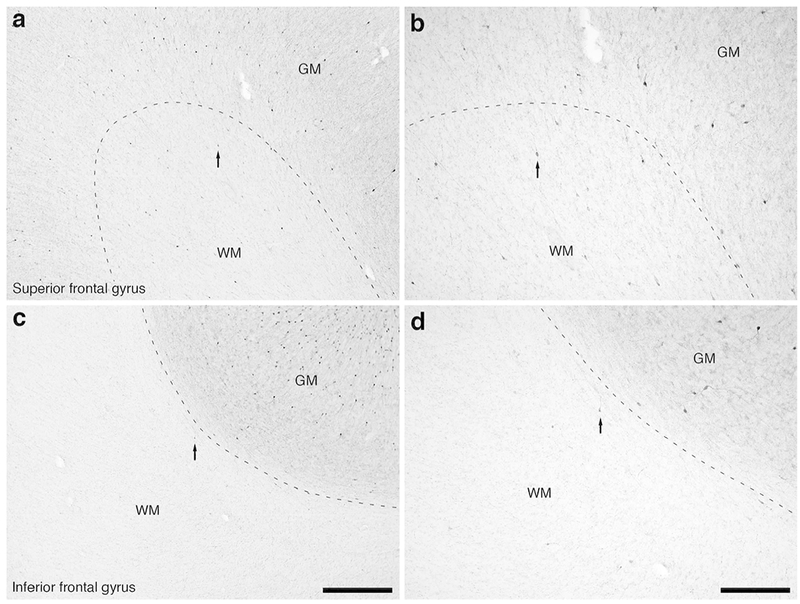 Figure 11: