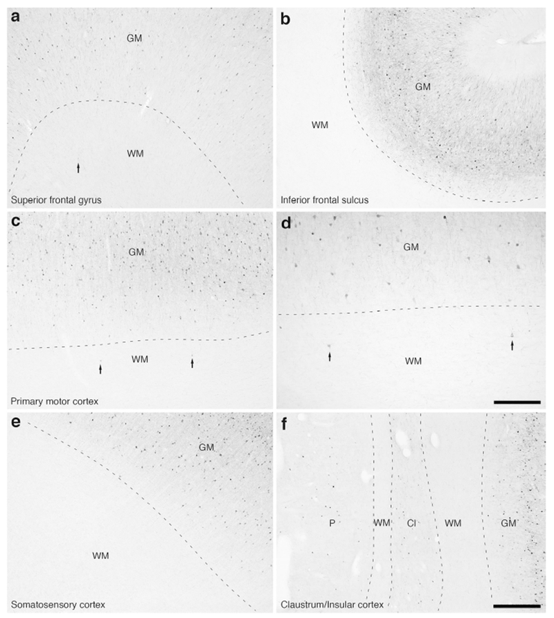 Figure 15: