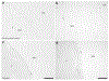 Figure 8: